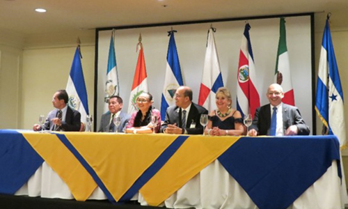 Cooperacion IX Foro ACAAI